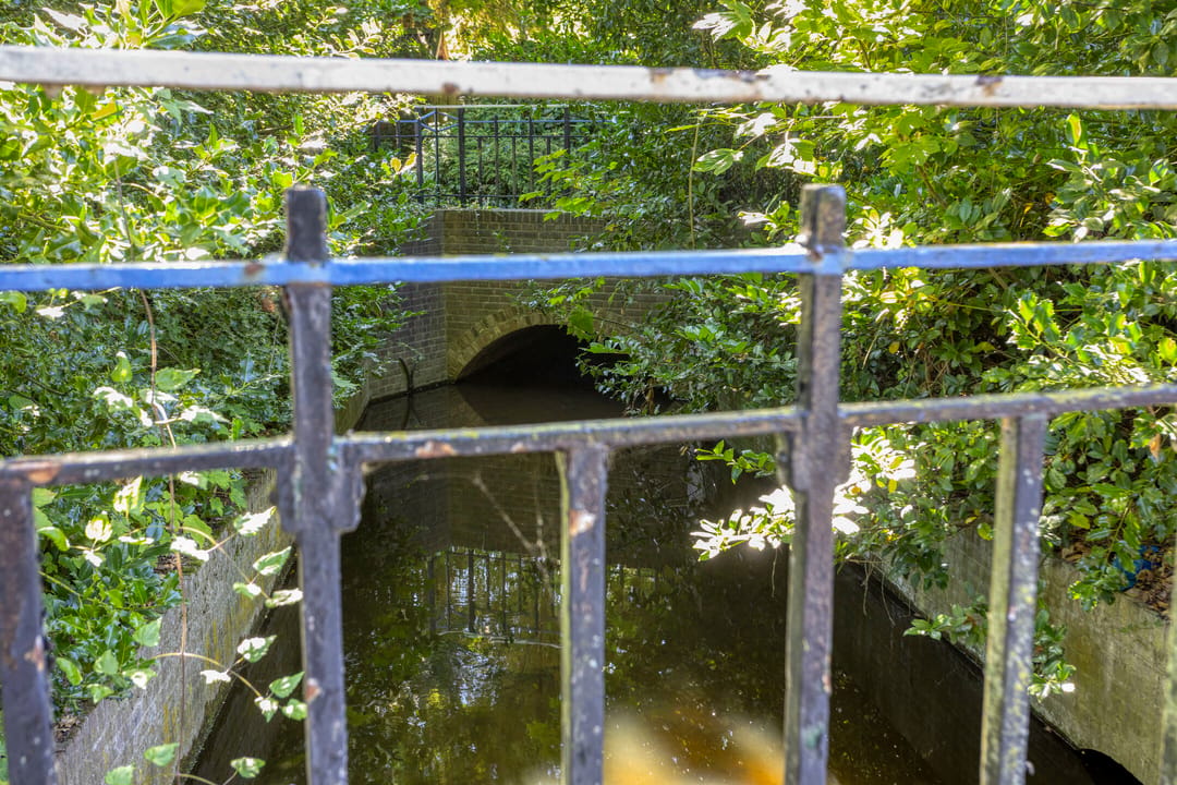 Photo 62 of Drienerparkweg 12