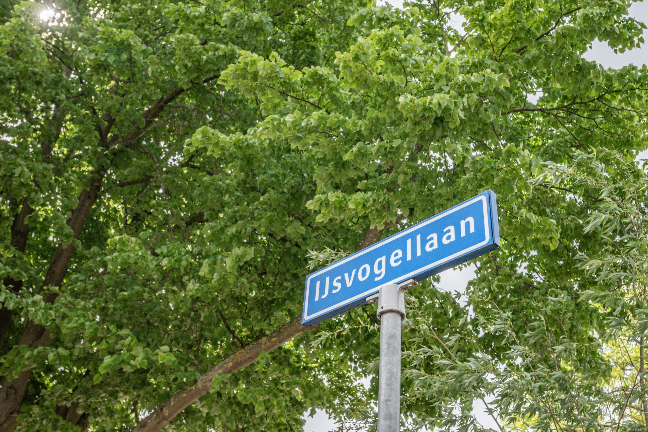 Foto 45 van IJsvogellaan 28