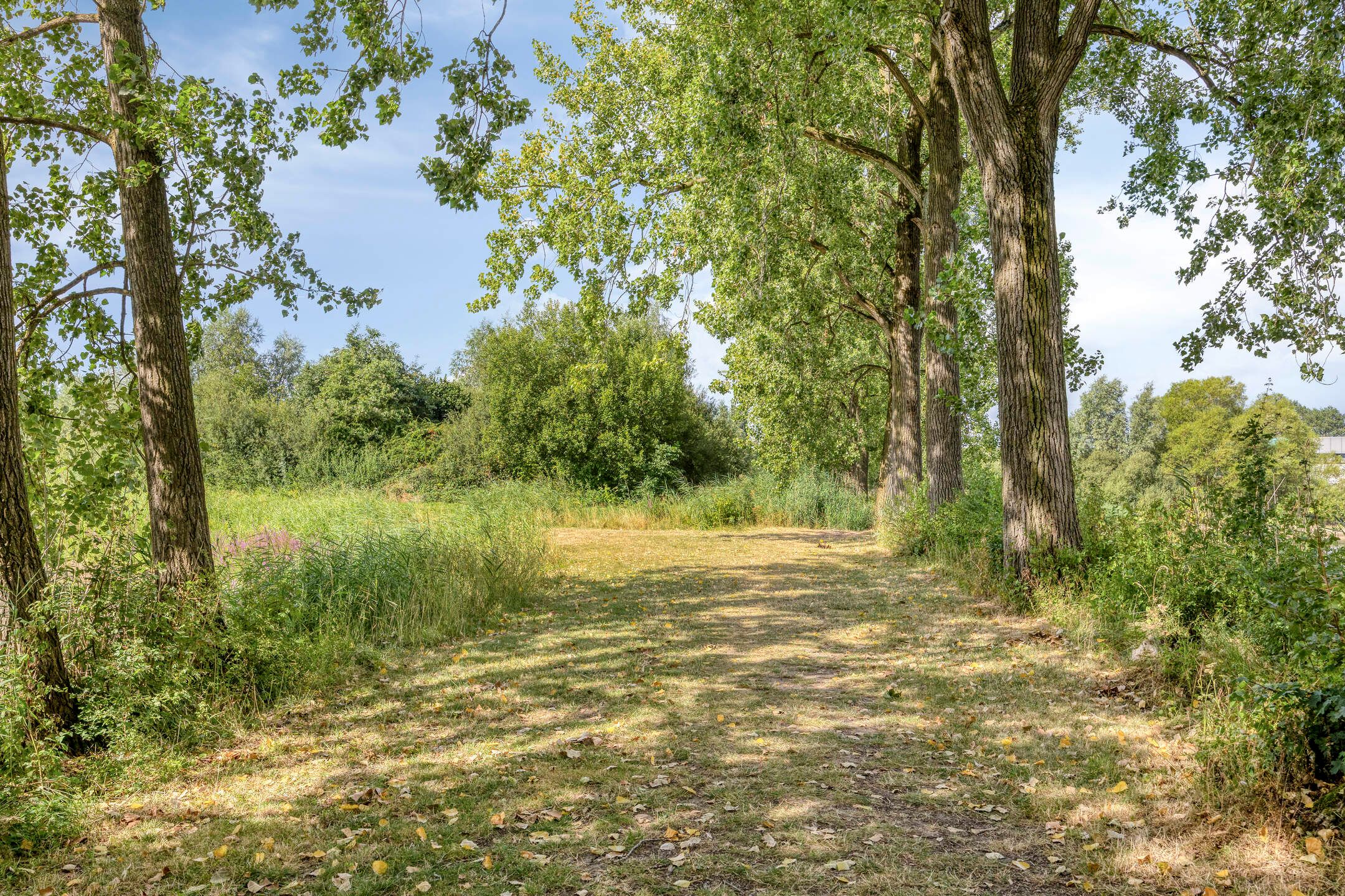 Photo 27 of Heuvel 121