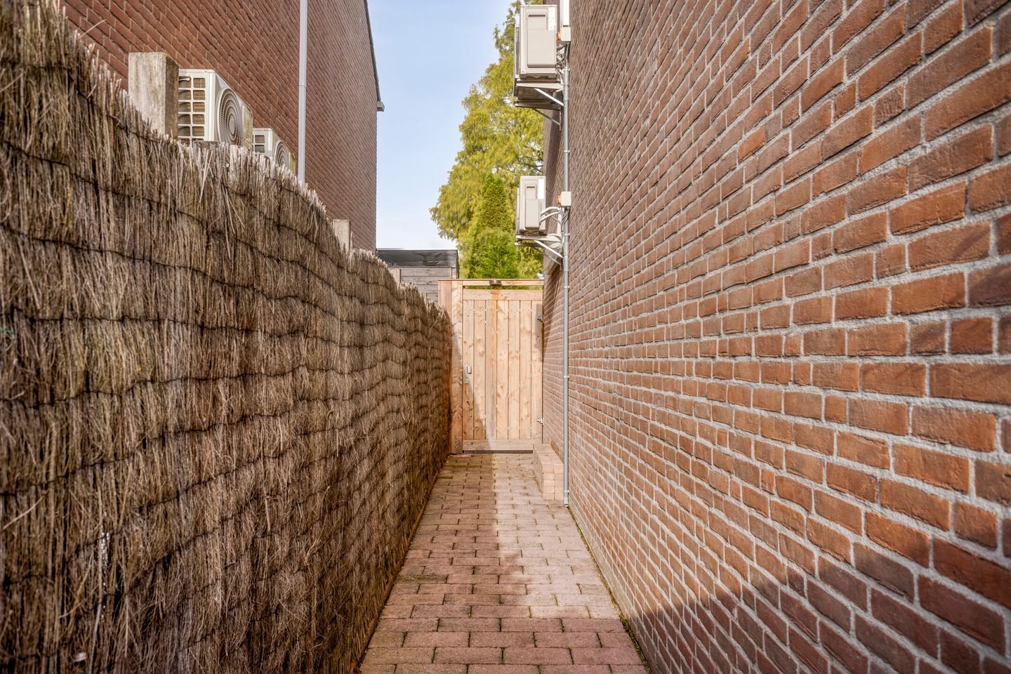 Foto 5 van Zoetendaal 209