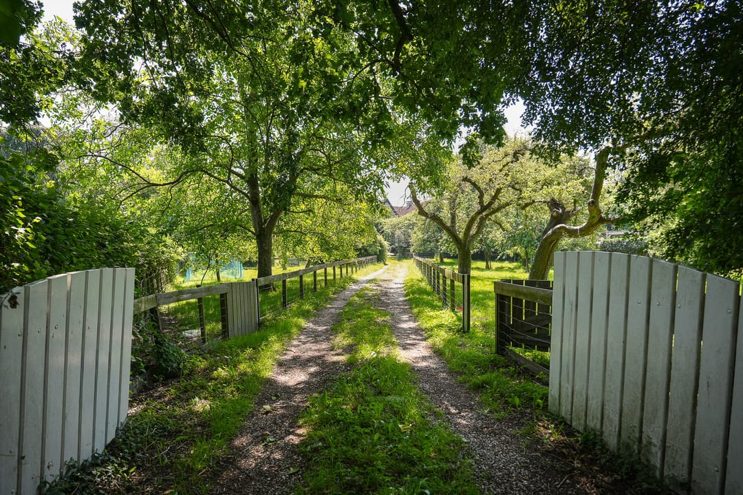 Foto 37 van Lingedijk 110