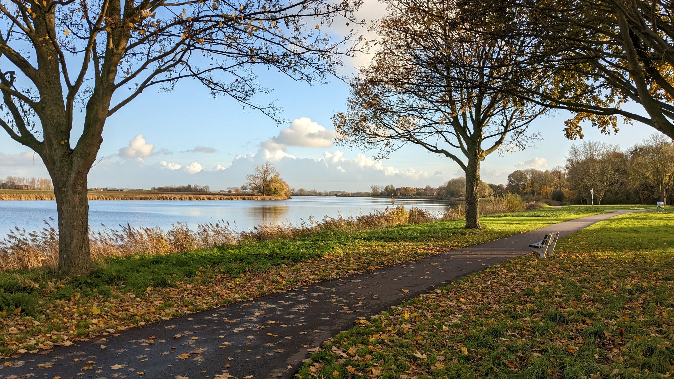 Foto 36 van Langs de Kreek 17-B