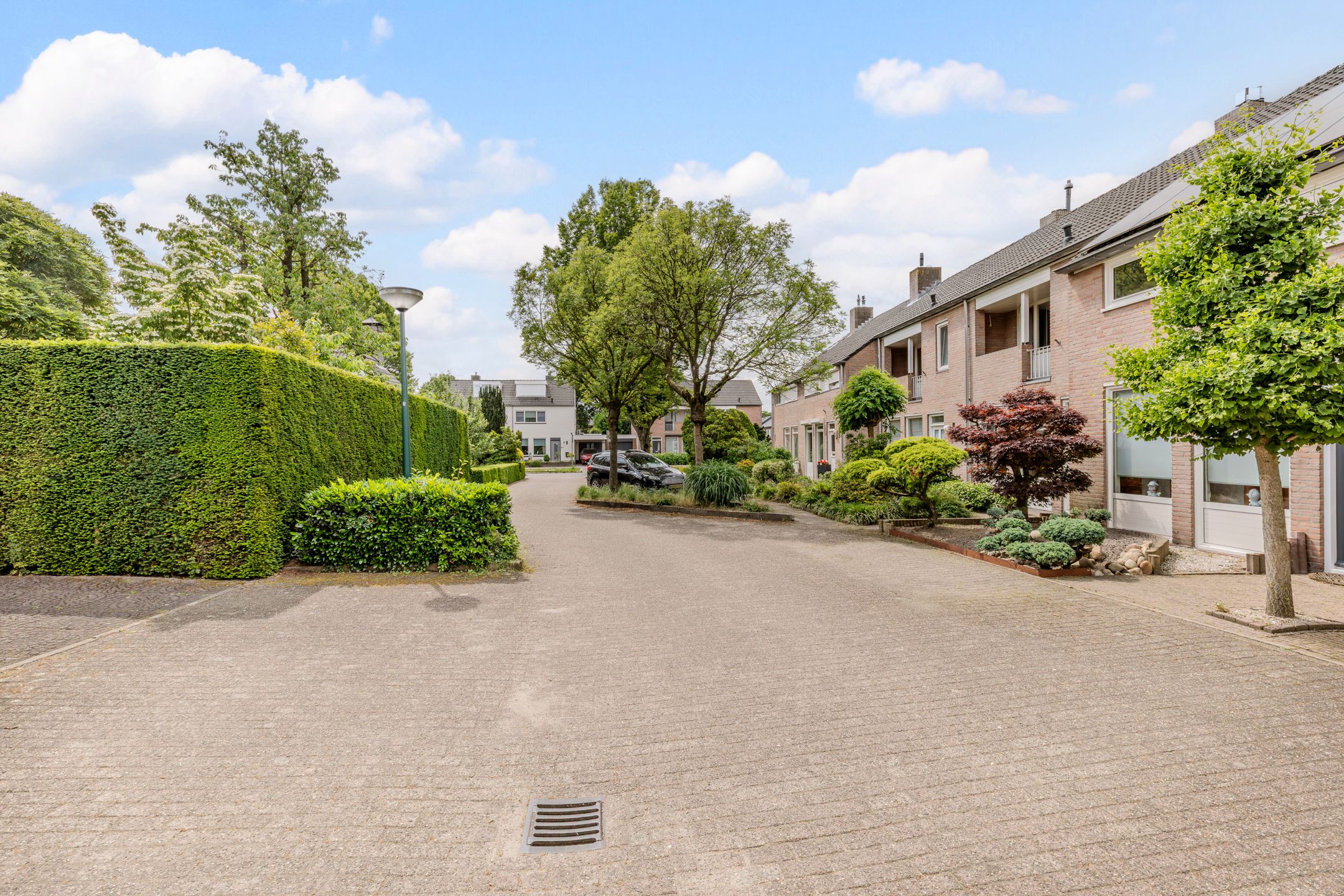 Photo 54 of de Biestermannen 5