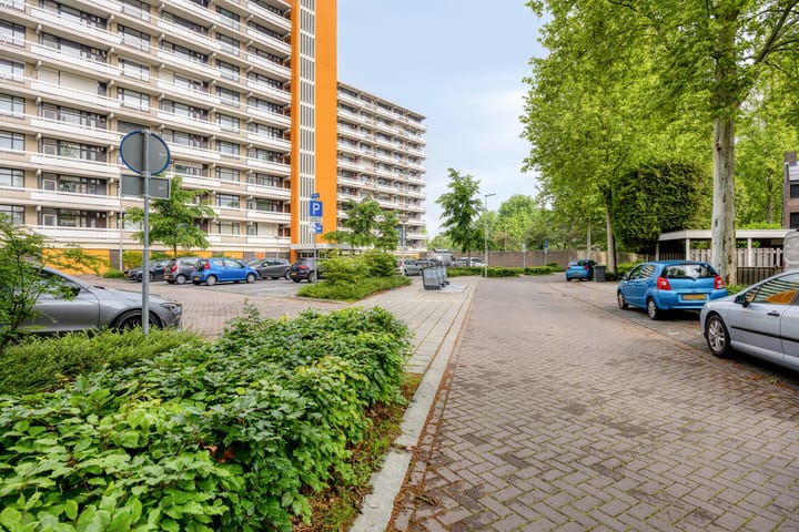 Foto 4 van de Koppele 215