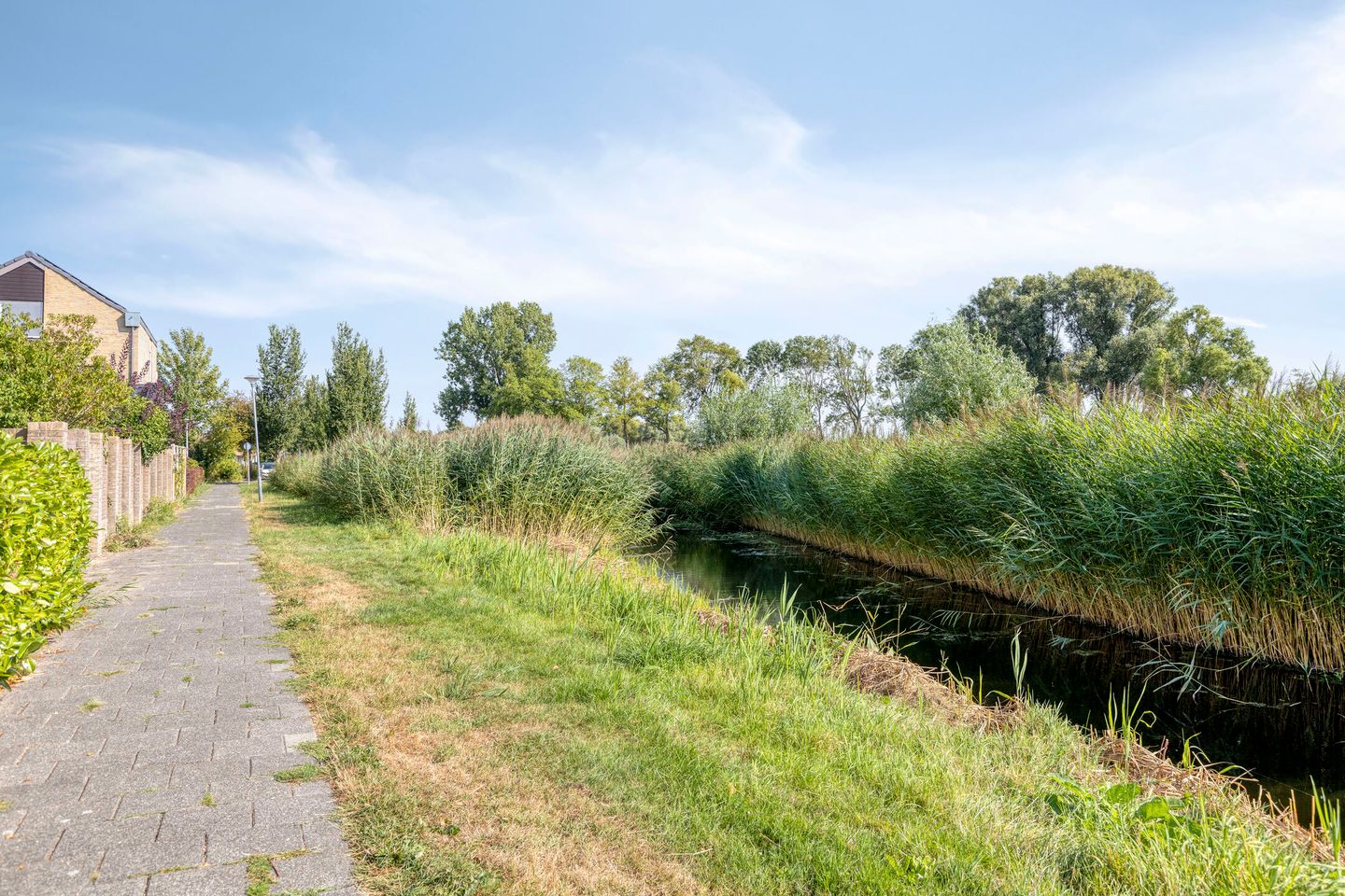 Foto 40 van Buwitsacker 21