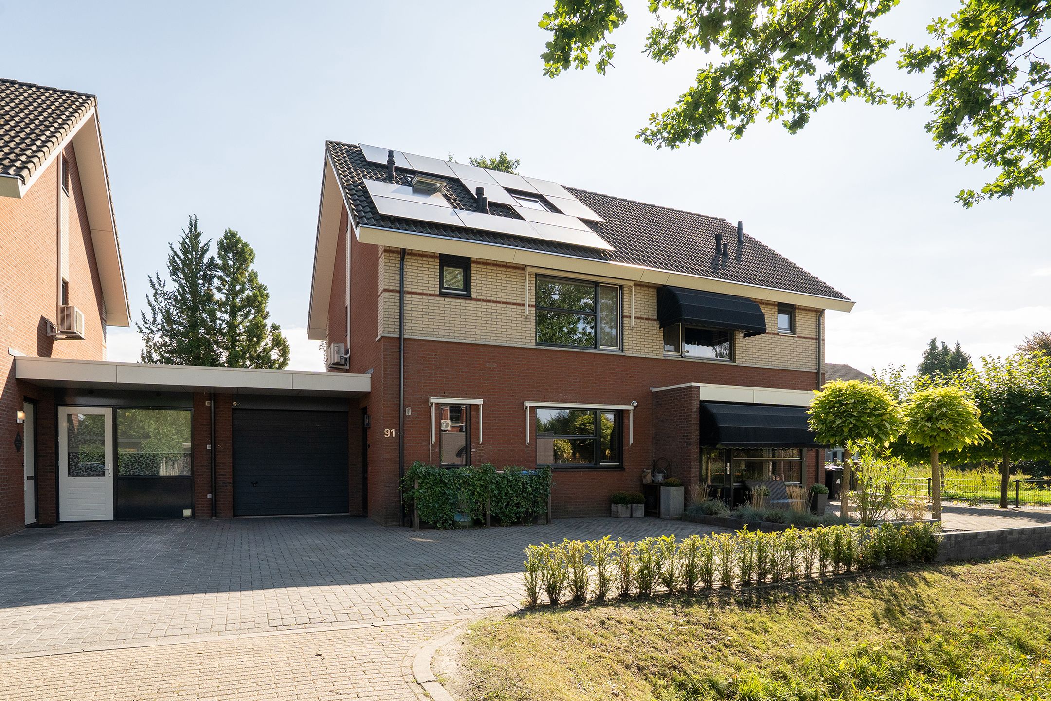 Kolibrievlinder 91 