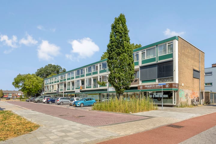 Foto 4 van van Meelstraat 36