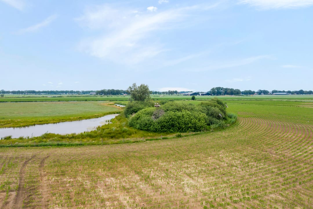 Photo 77 of Baalder-Esch 53