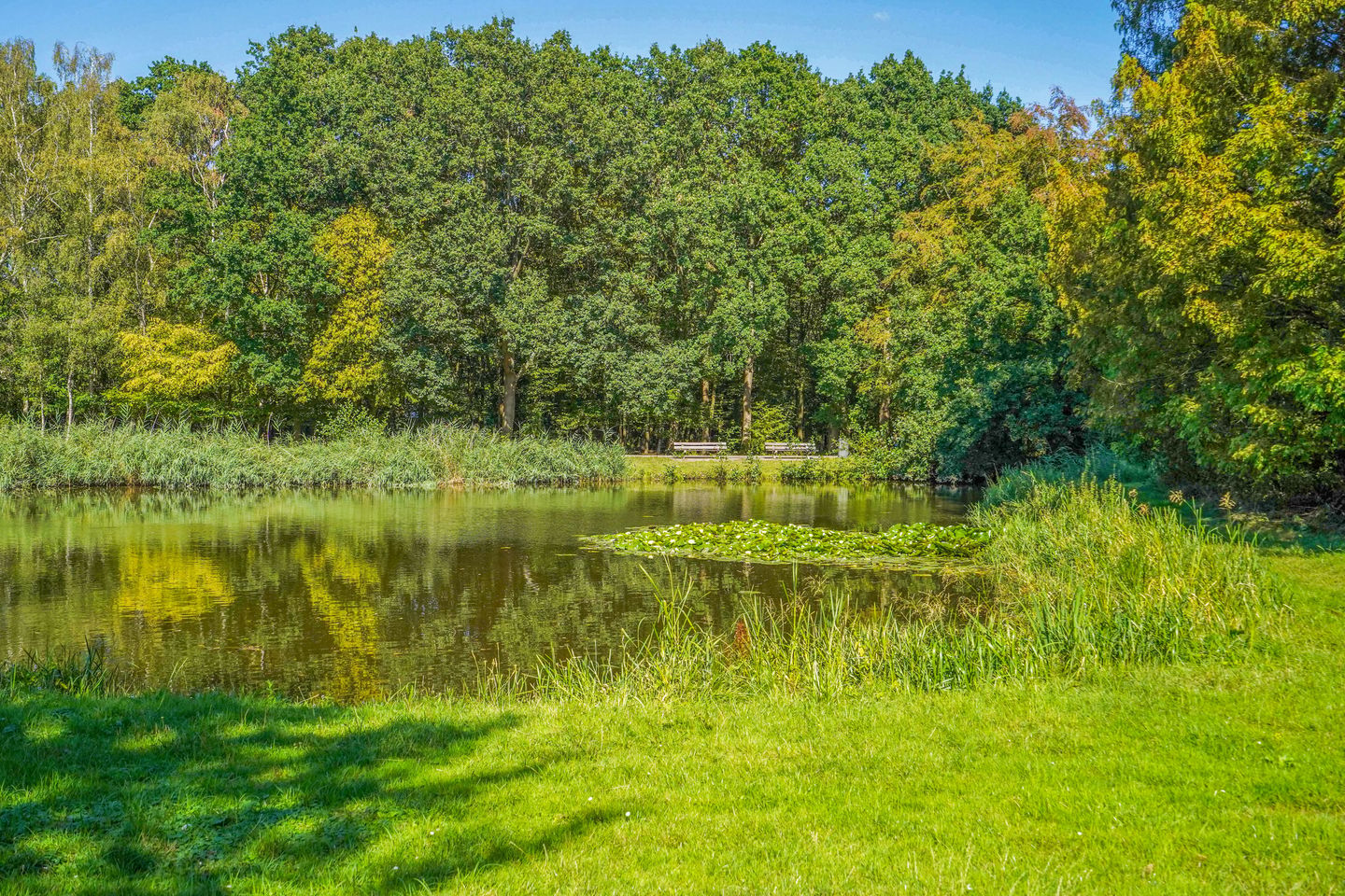 Photo 19 of Sleedoornlaan 30