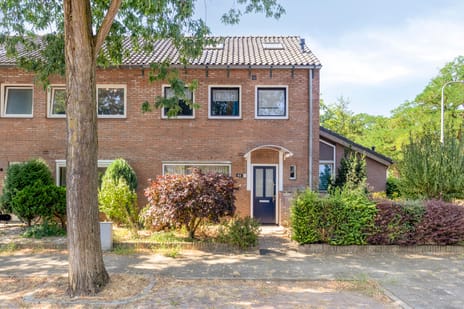 Triangelstraat thumbnail