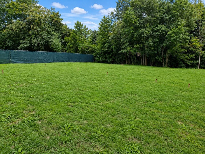 Foto 5 van Molendijk