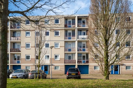 Schaepmanstraat thumbnail