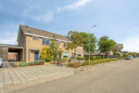 Roofvogelstraat thumbnail