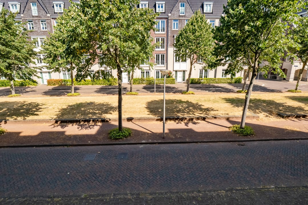 Photo 46 of Hardenbroek 12