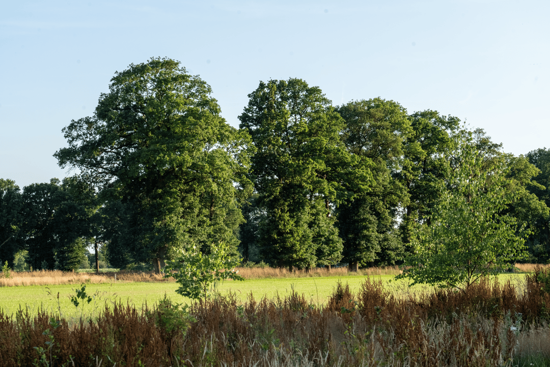 Photo 22 of Hondemotsweg, Wonen in het Veld (Bouwnr. Kavel E)