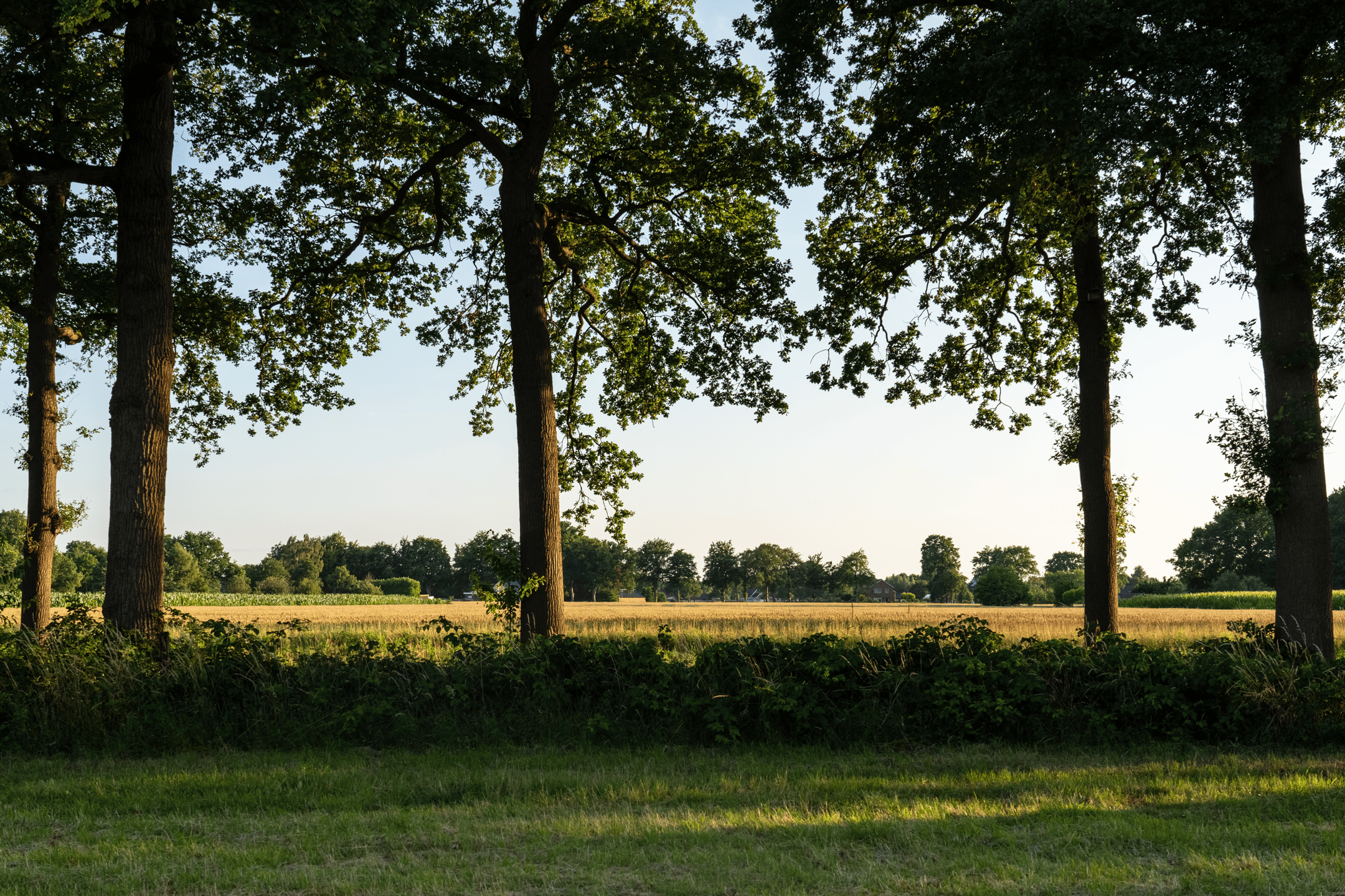 Photo 18 of Hondemotsweg, Wonen in het Veld (Bouwnr. Kavel G)