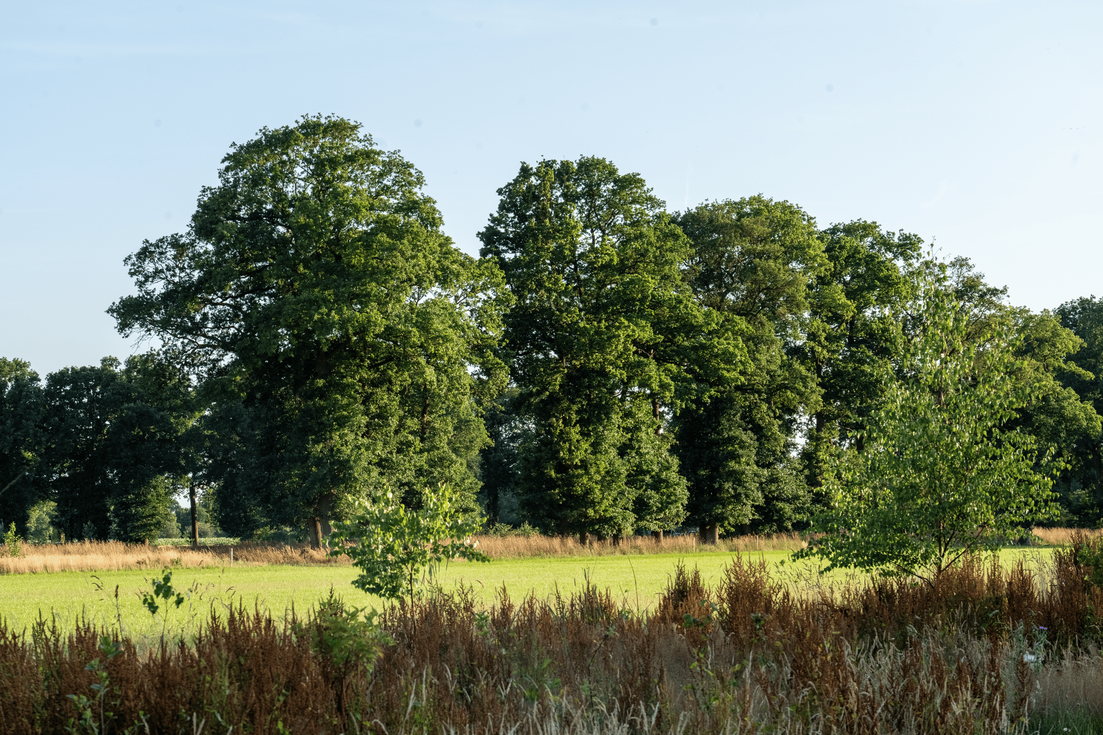 Photo 15 of Hondemotsweg, Wonen in het Veld (Bouwnr. Kavel G)