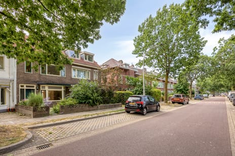 Krayenhofflaan thumbnail