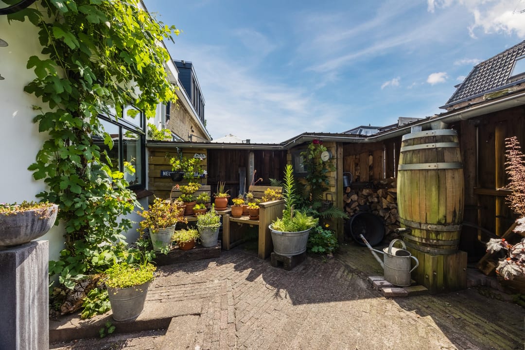 Foto 47 van Neushoornstraat 2