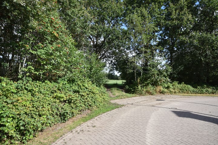 Photo 4 of Boskkamp 21