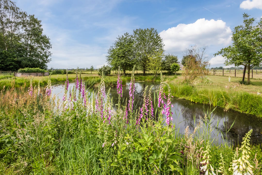 Photo 67 of Ommerkanaal 7