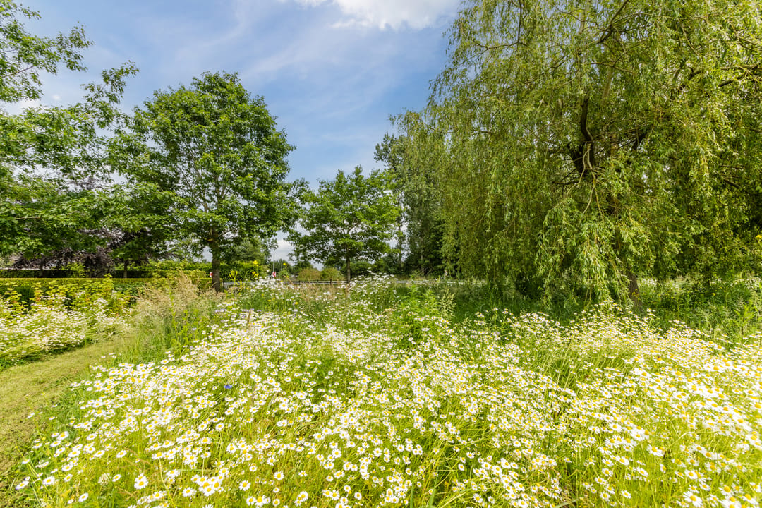 Photo 83 of Ommerkanaal 7