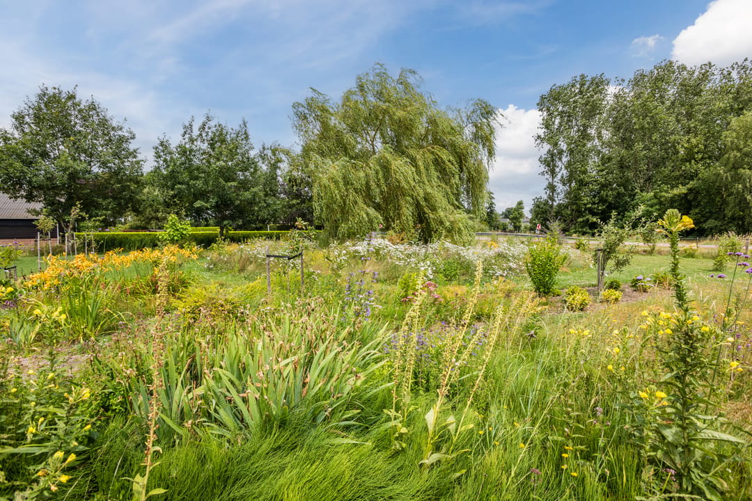 Photo 86 of Ommerkanaal 7