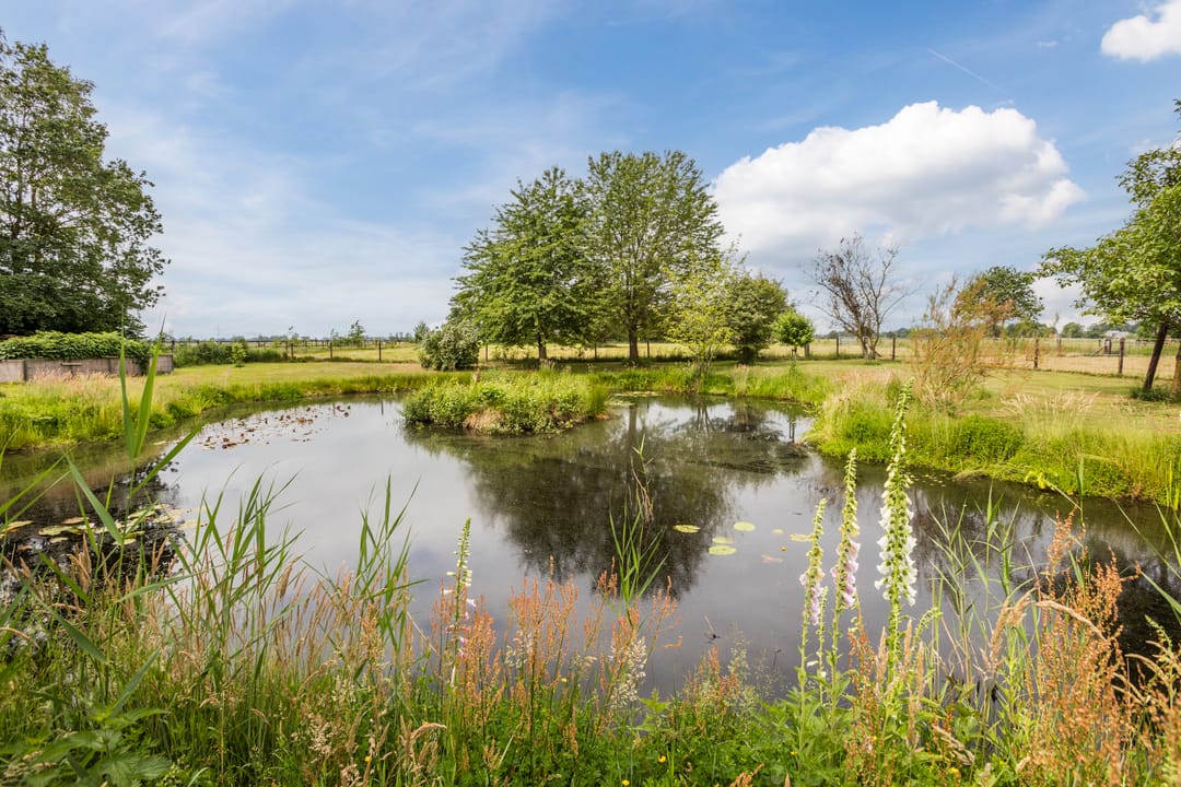 Photo 68 of Ommerkanaal 7