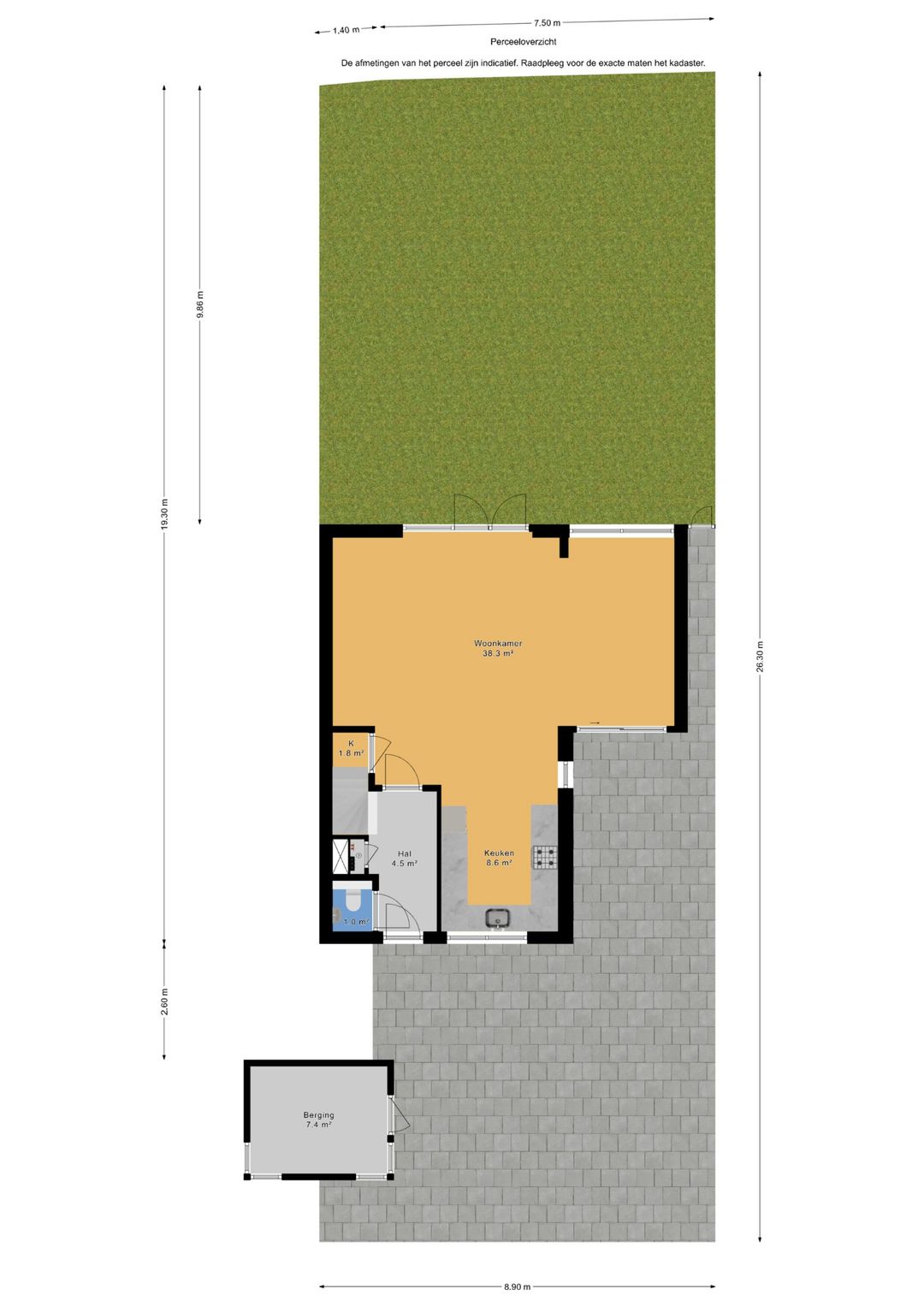 Foto 2 van Blauw Glidkruid 35