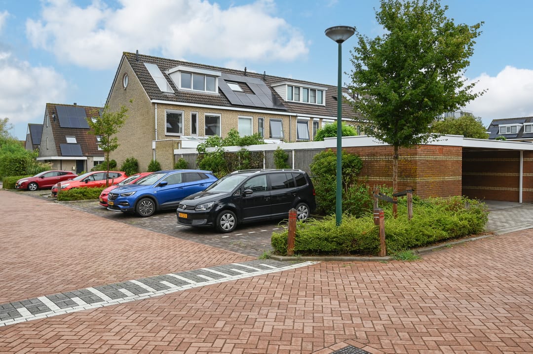 Photo 31 of Zwanebloem 48