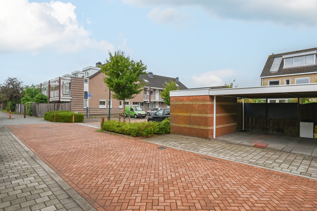 Photo 28 of Zwanebloem 48