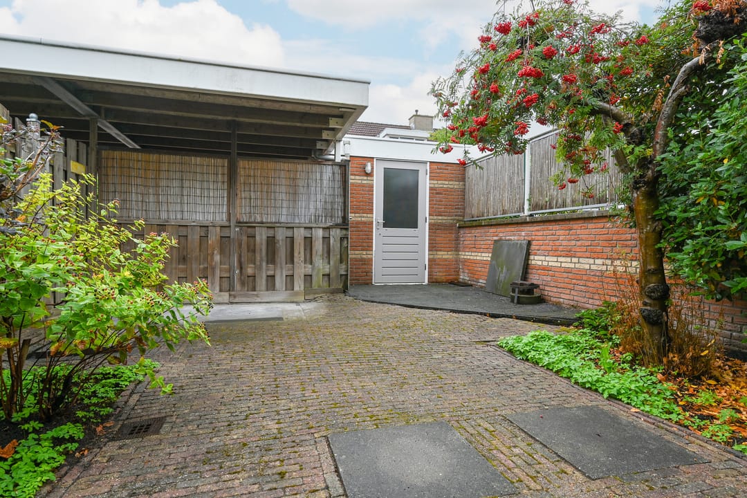Photo 26 of Zwanebloem 48