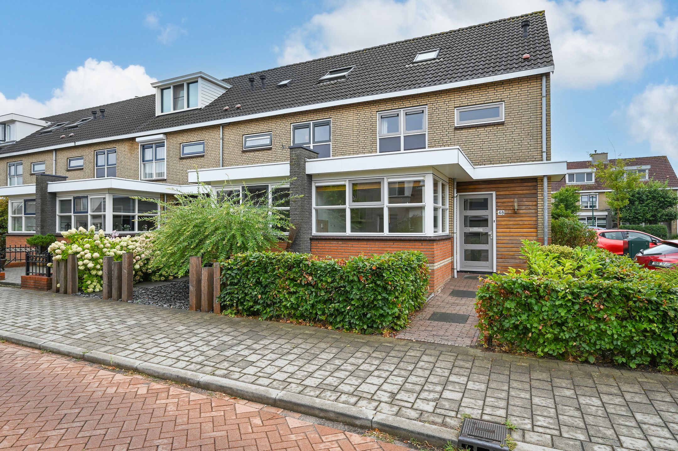 Zwanebloem 48