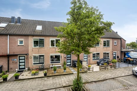 Aletta Jacobsstraat thumbnail