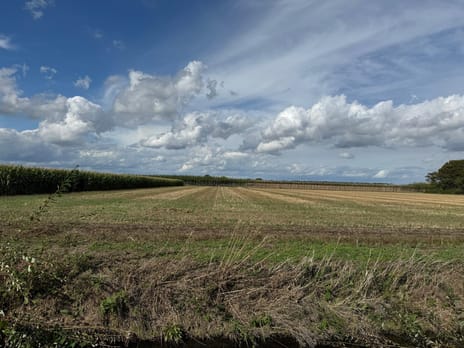 View photos