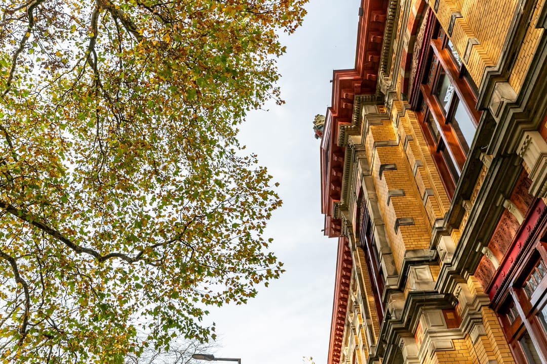 Photo 38 of Noordsingel 117-A