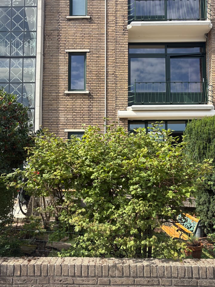 Foto 4 van De Savornin Lohmanlaan 80