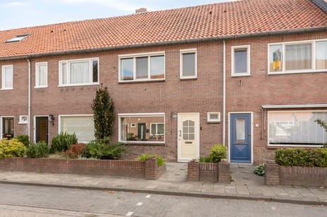 Steenbergenstraat thumbnail