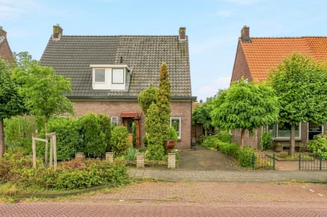 van Hogendorpstraat thumbnail