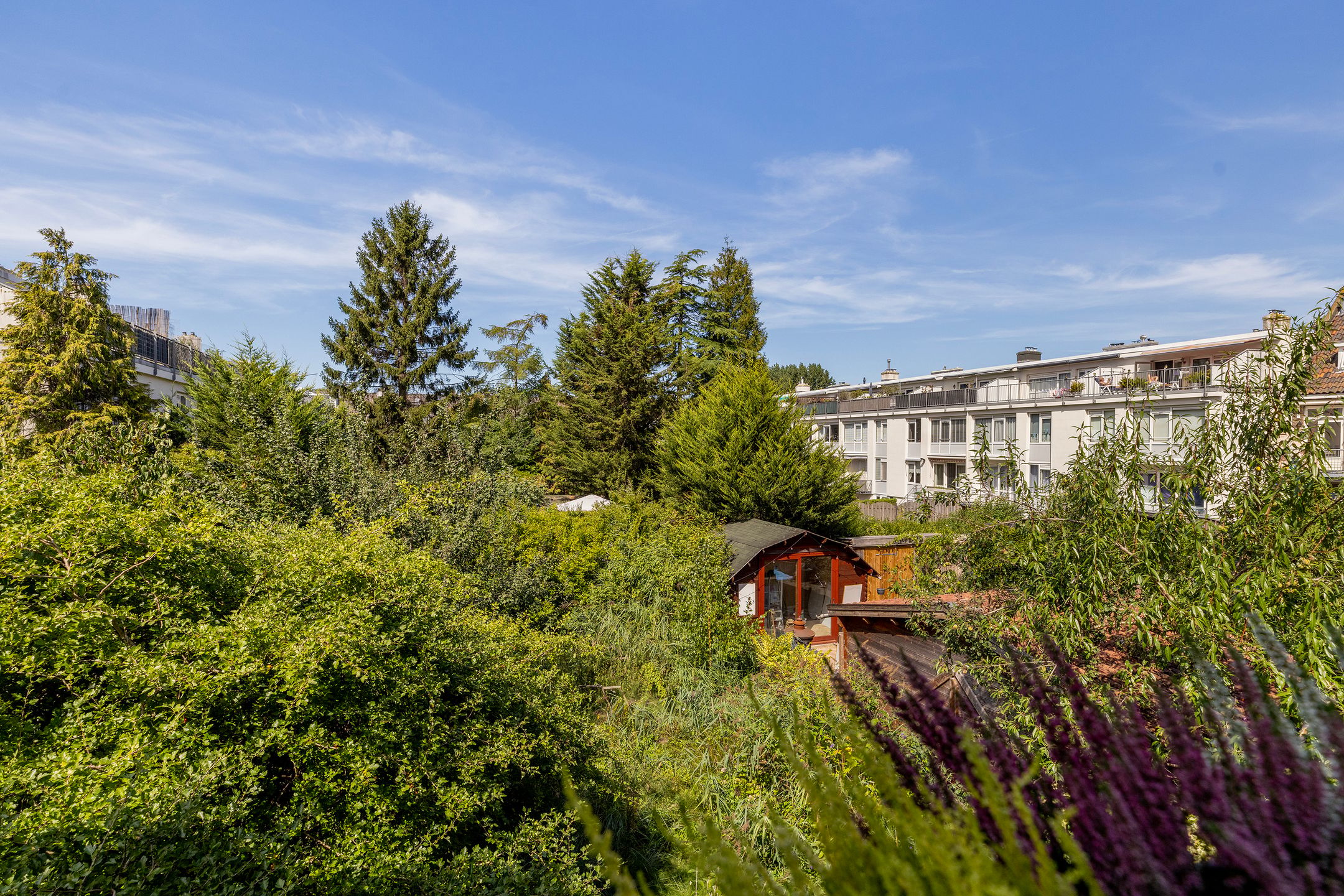 Photo 36 of Prins Mauritssingel 25-A