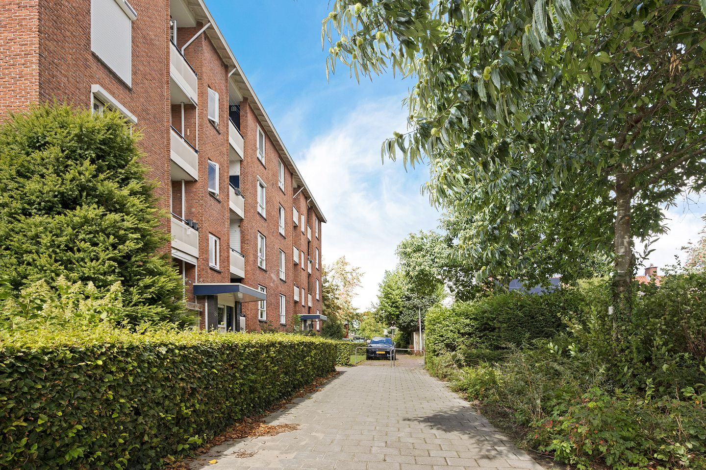 Foto 1 van Van Musschenbroekstraat 80-4
