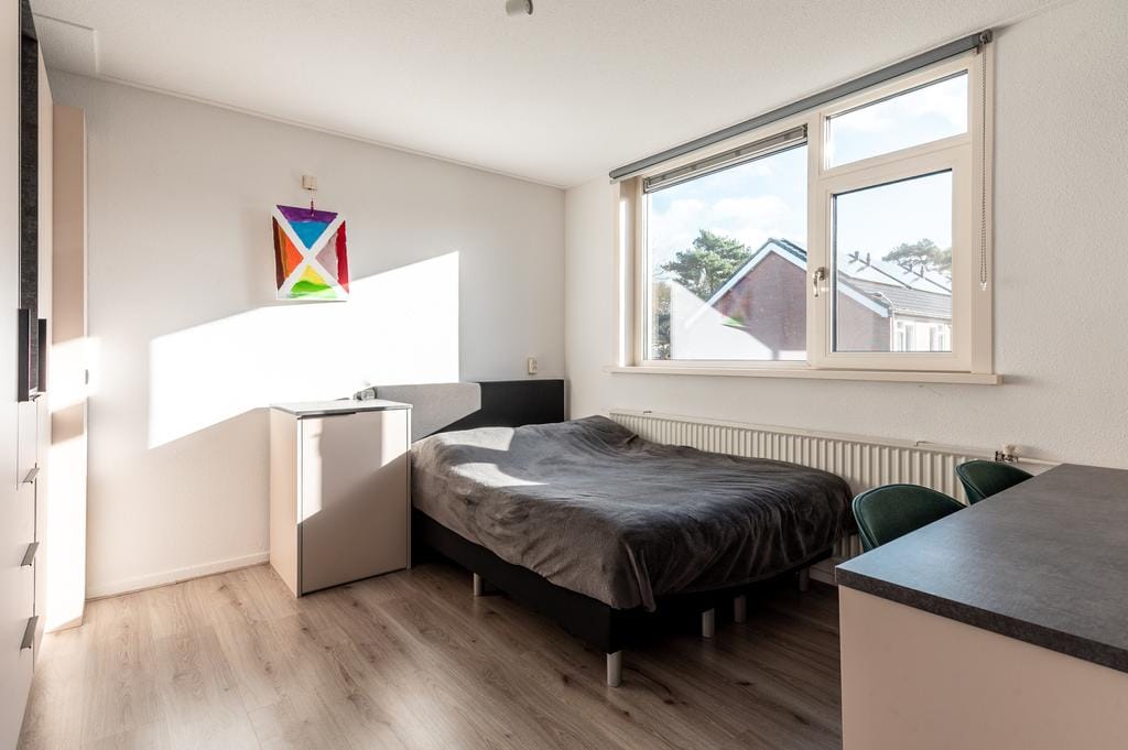 Photo 4 of Reigerstraat 1