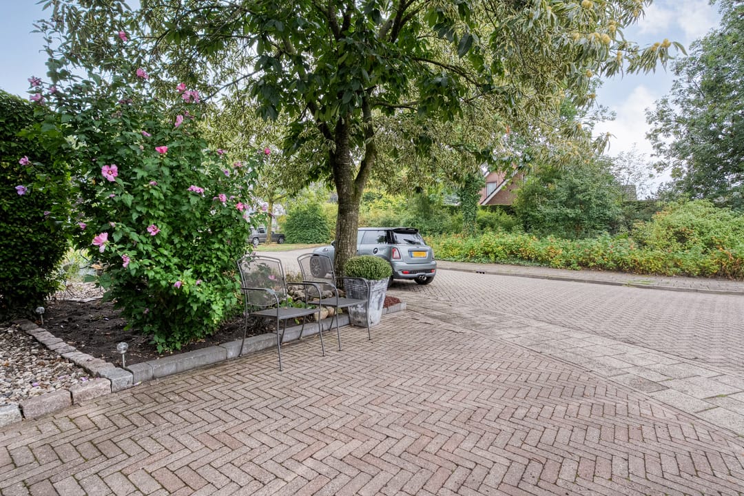 Photo 68 of Hoefblad 44