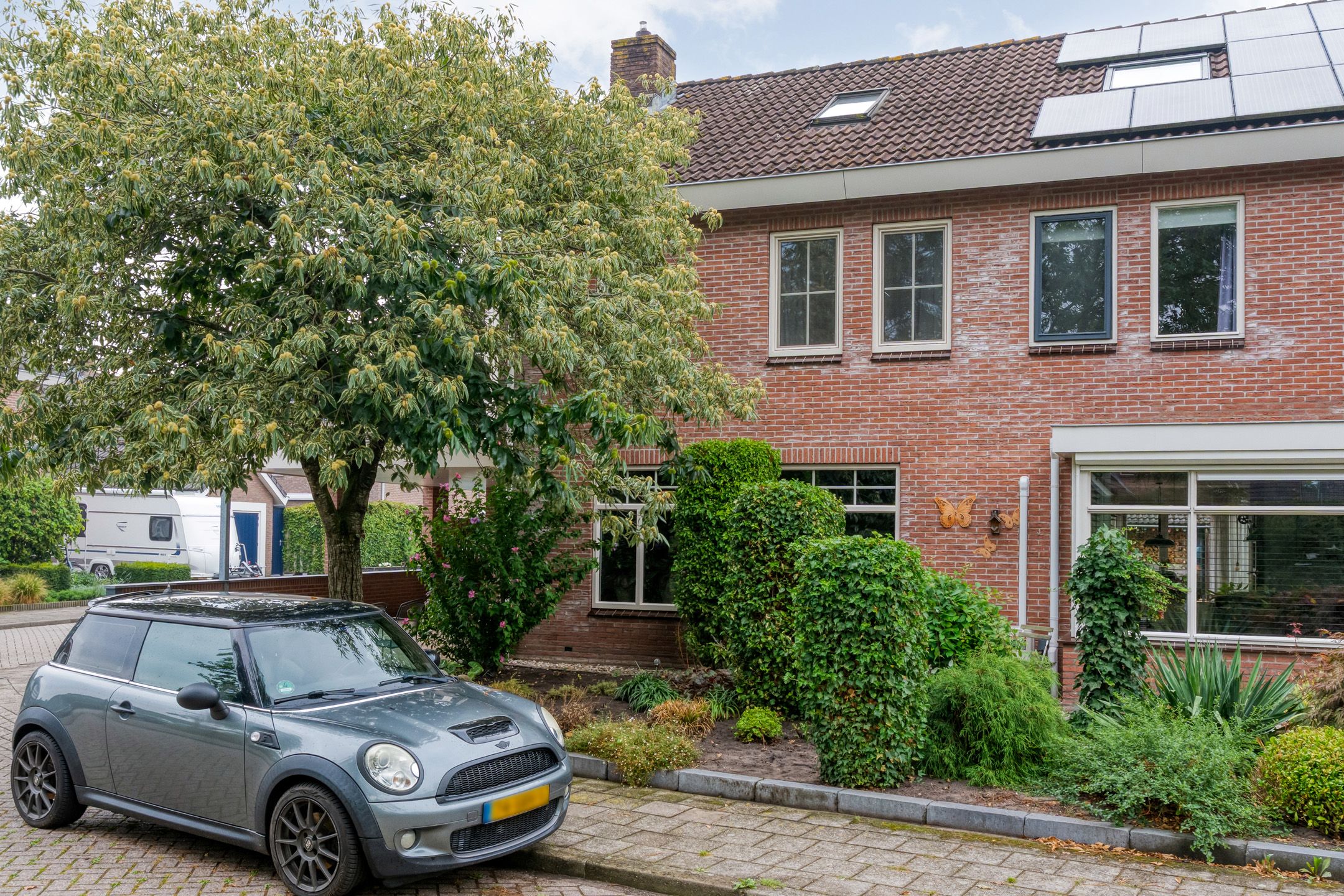 Photo 66 of Hoefblad 44