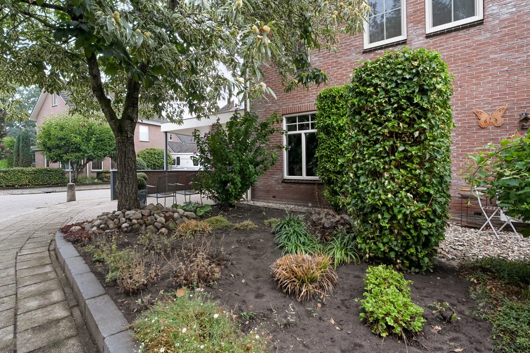 Photo 67 of Hoefblad 44