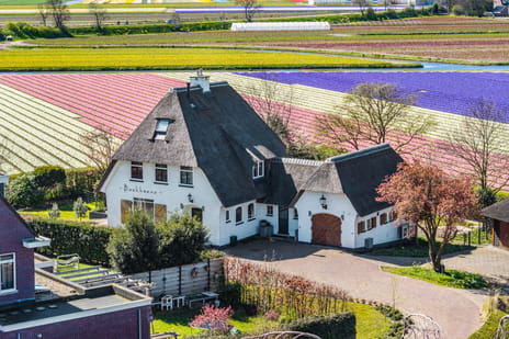 Van den Endelaan thumbnail