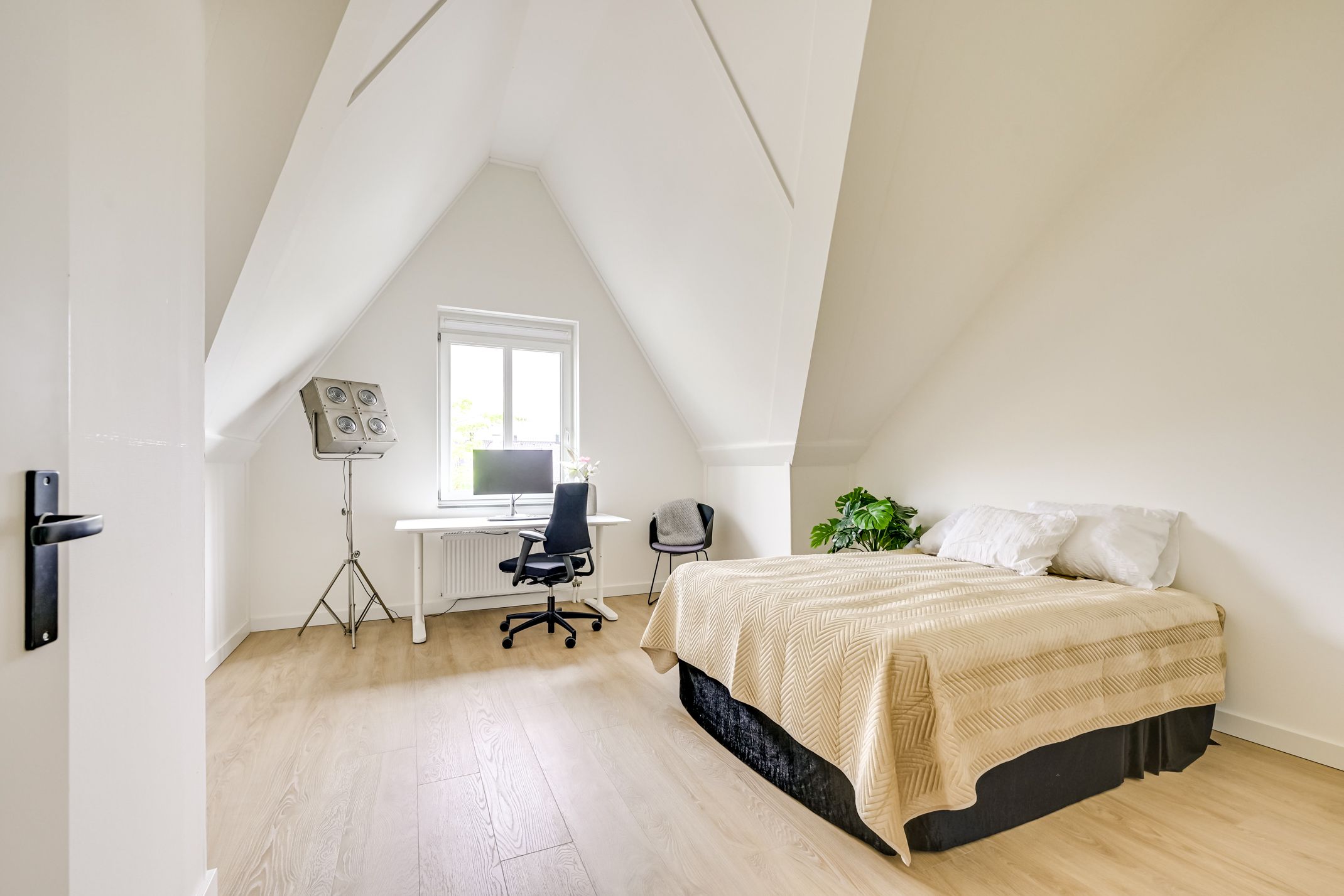 Photo 39 of IJzerwerf 8
