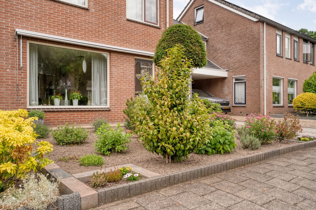 Photo 8 of Ganzebloem 11