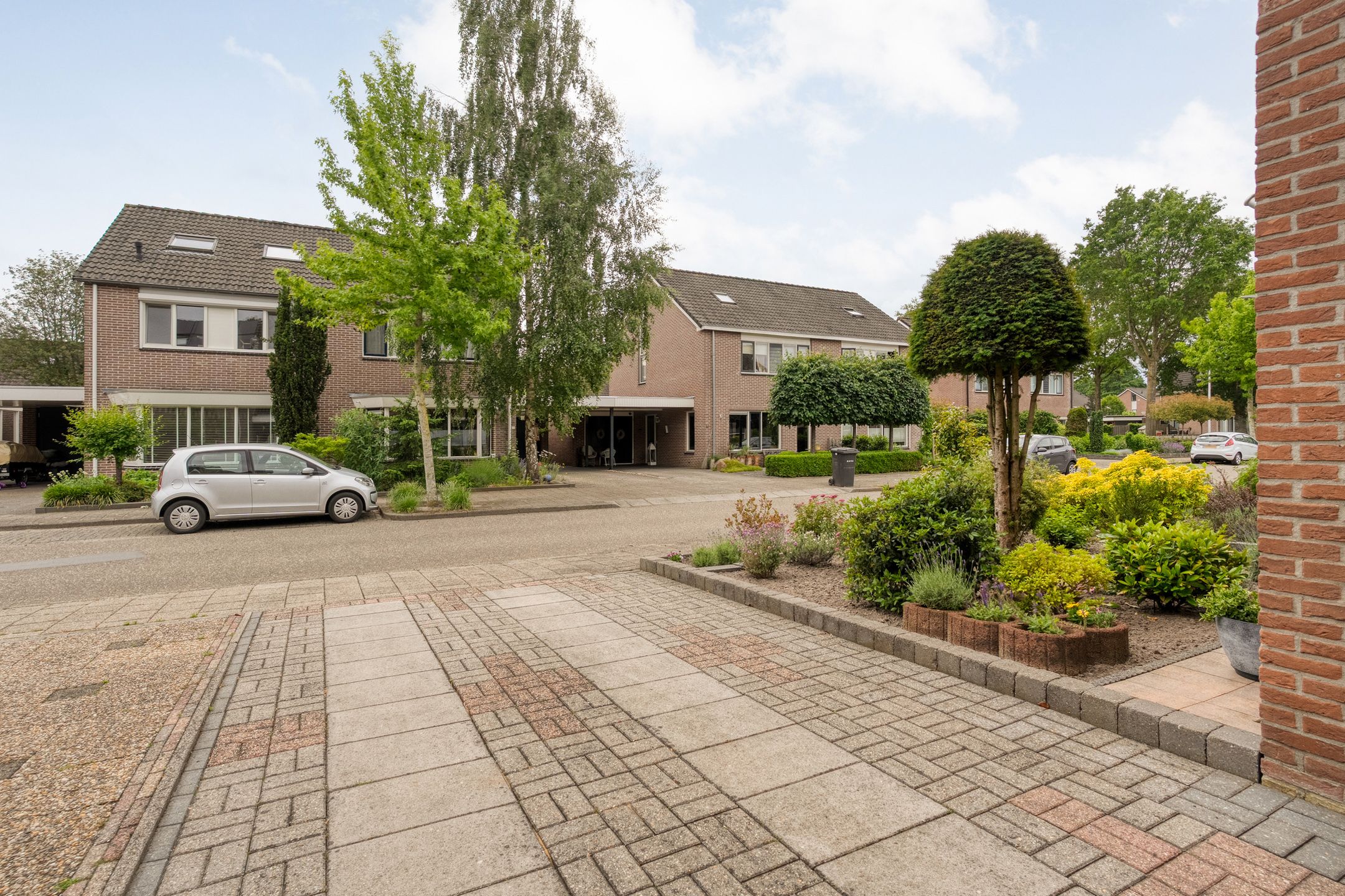Photo 9 of Ganzebloem 11