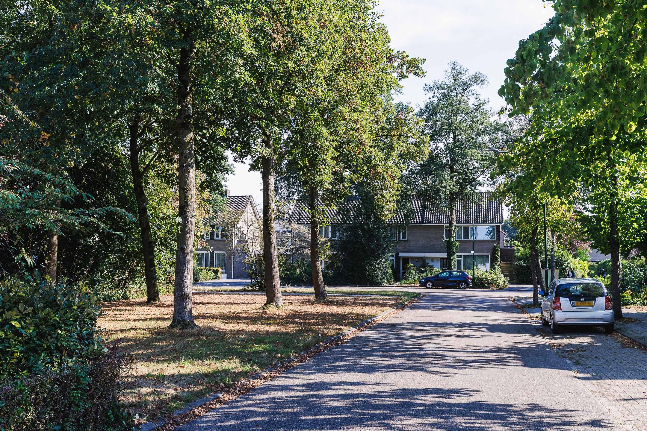 Photo 54 of Gelderlandlaan 11
